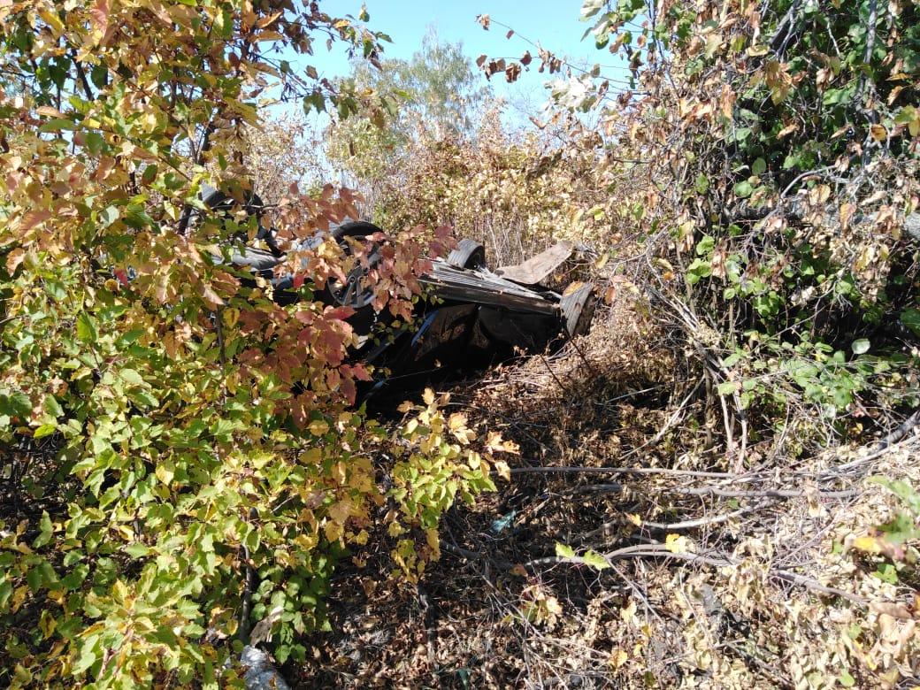 Около найденный. Сергей Орешкин Котовск и Кристина Сайкина. Трупы в тамбовских лесах.