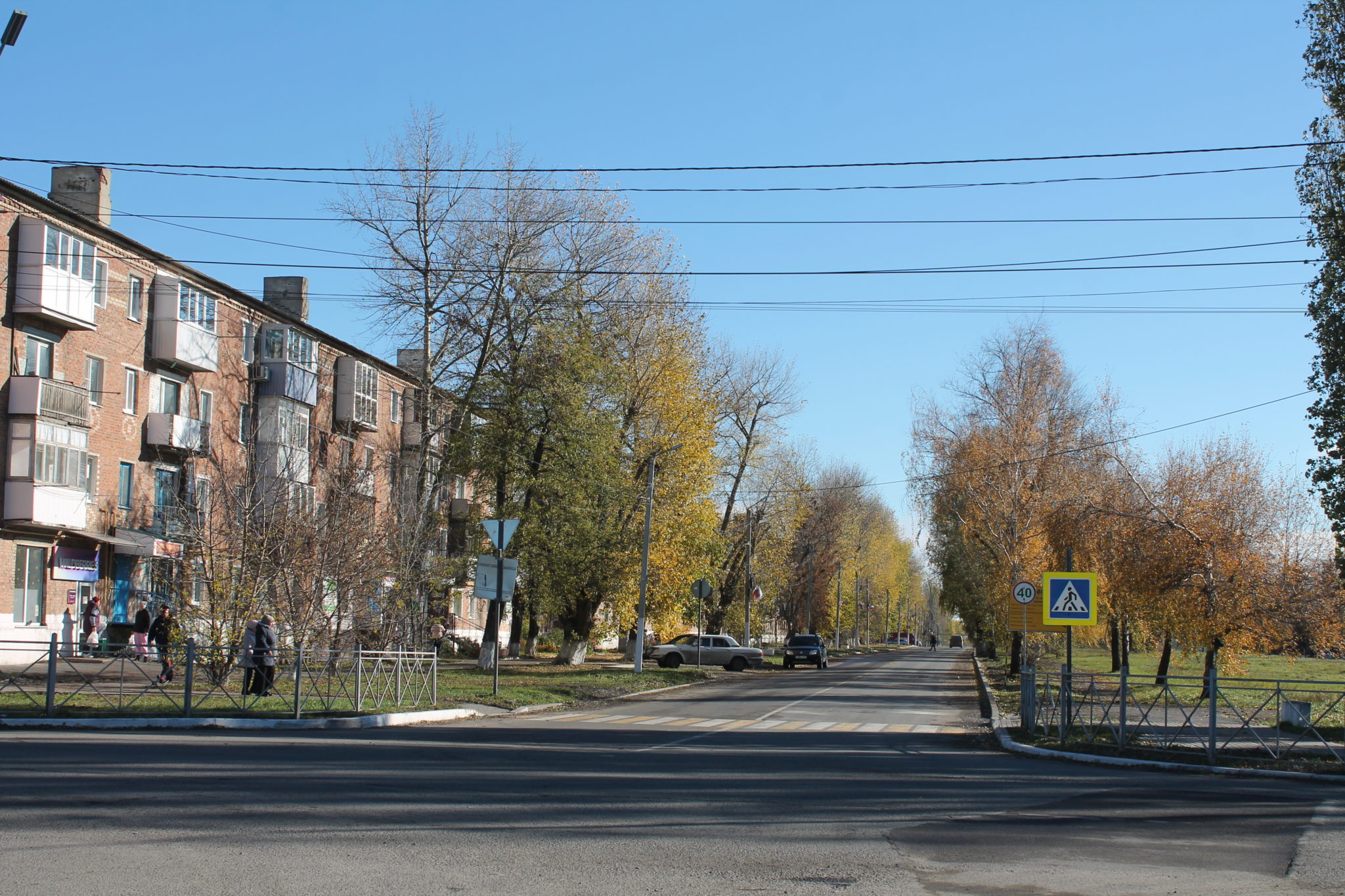 Зверево цветы. Город Зверево. Зверево. Рынок Зверево фото.